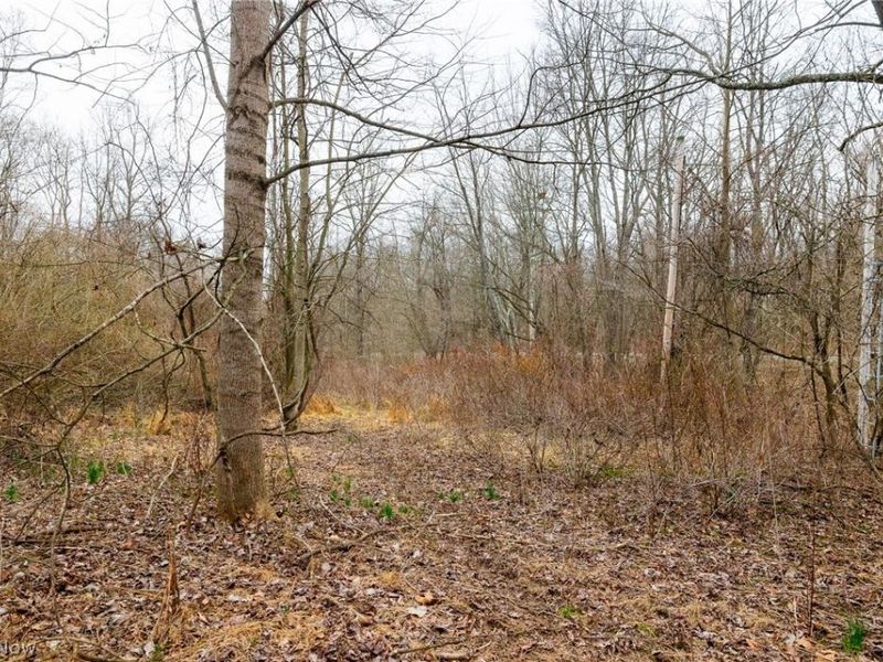 10445 Shannon Road, Frazeysburg, OH 43822 Photo 3