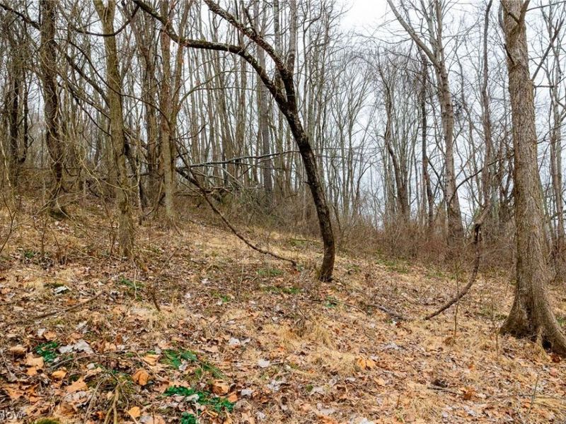 10445 Shannon Road, Frazeysburg, OH 43822 Photo 6