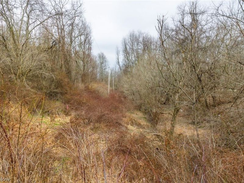 10445 Shannon Road, Frazeysburg, OH 43822 Photo 7