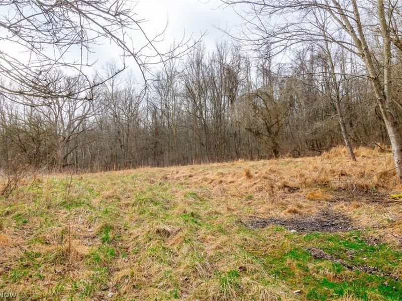 10445 Shannon Road, Frazeysburg, OH 43822 Photo 8