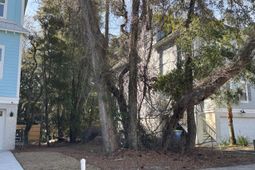 61 Sandcastle Court photo 4