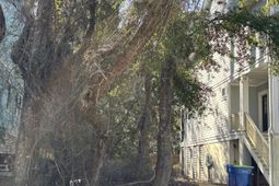 61 Sandcastle Court photo 4