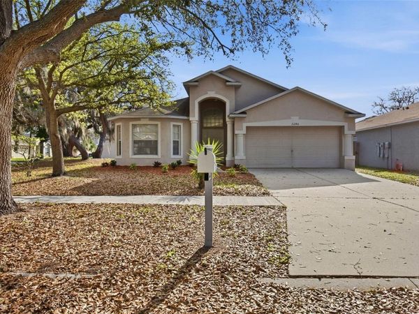 11240 LAKE LANIER DRIVE , RIVERVIEW, FL 33569