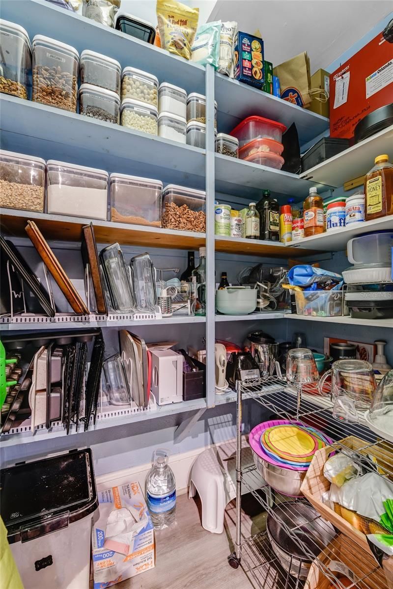 347 E 3rd Avenue, Mount Dora, FL 32757 Photo