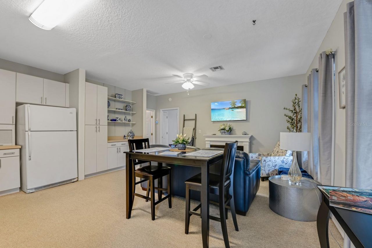 347 E 3rd Avenue, Mount Dora, FL 32757 Photo