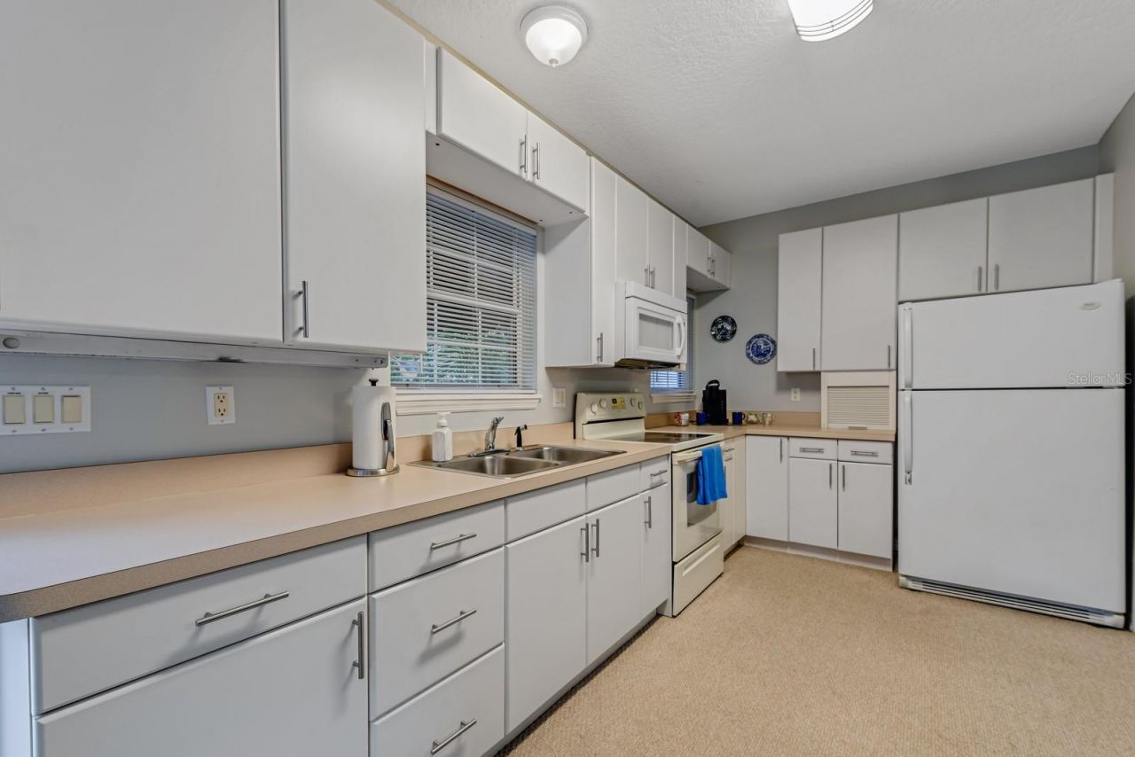 347 E 3rd Avenue, Mount Dora, FL 32757 Photo