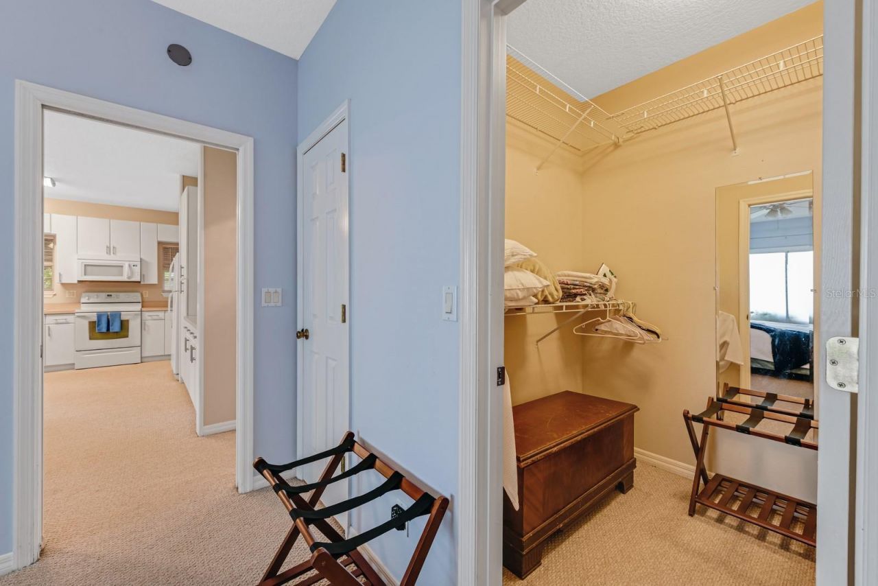 347 E 3rd Avenue, Mount Dora, FL 32757 Photo