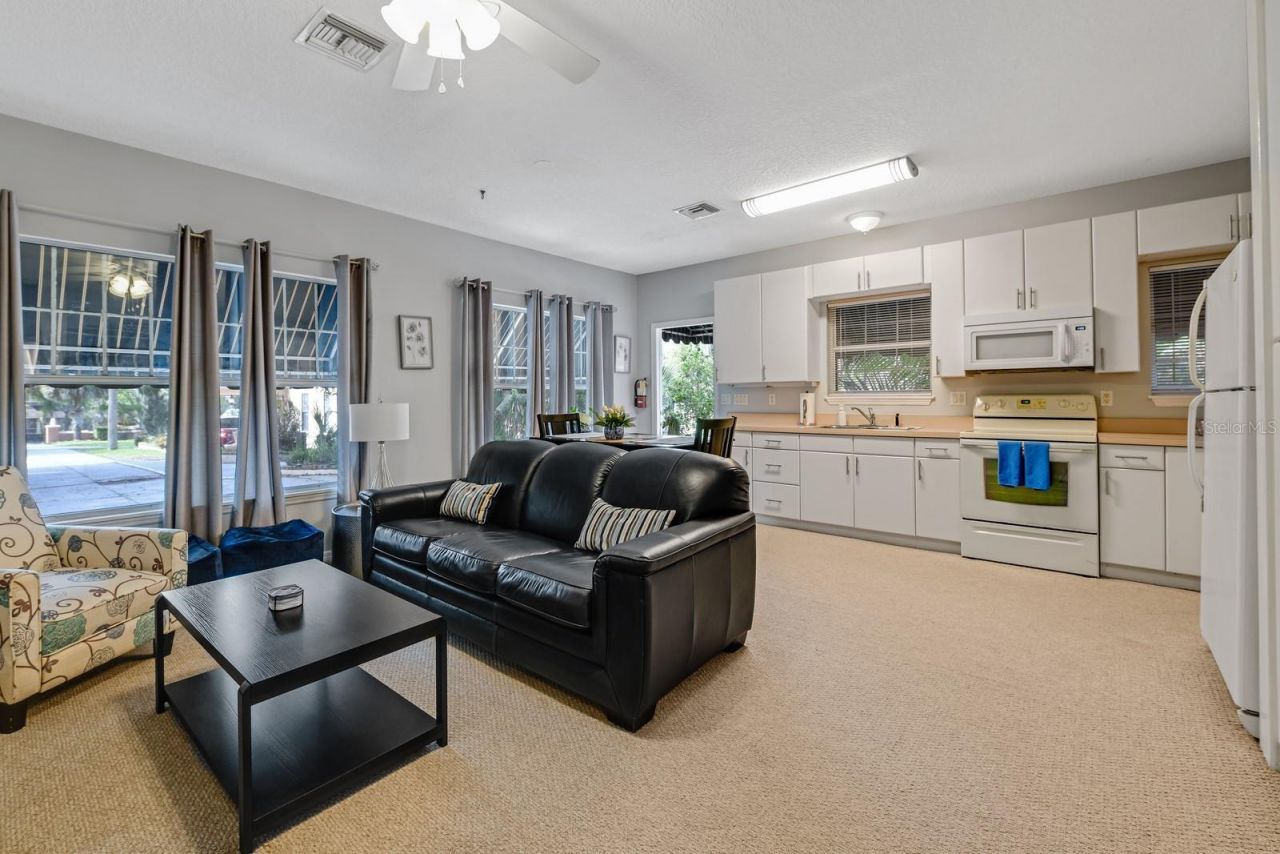 347 E 3rd Avenue, Mount Dora, FL 32757 Photo