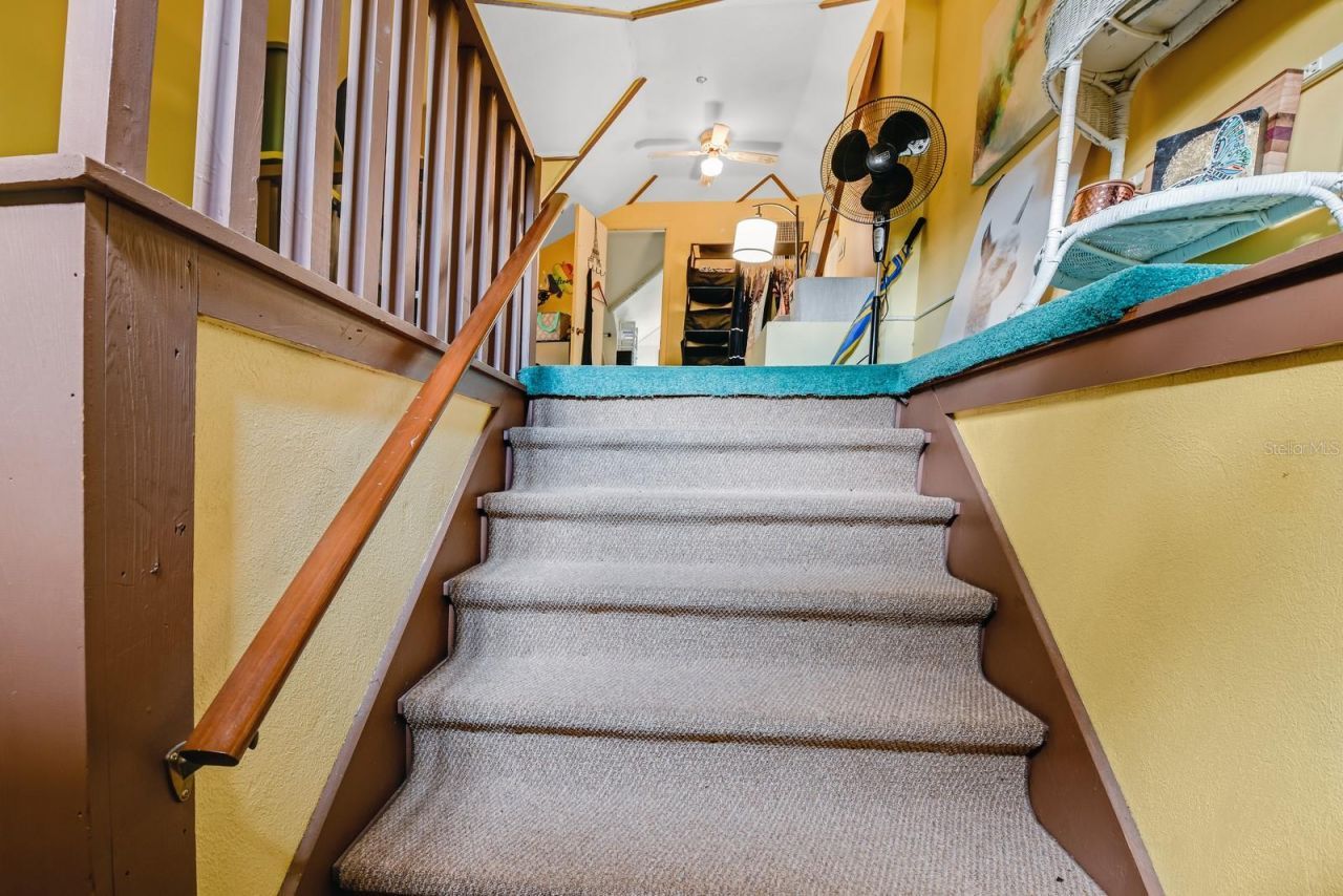 347 E 3rd Avenue, Mount Dora, FL 32757 Photo