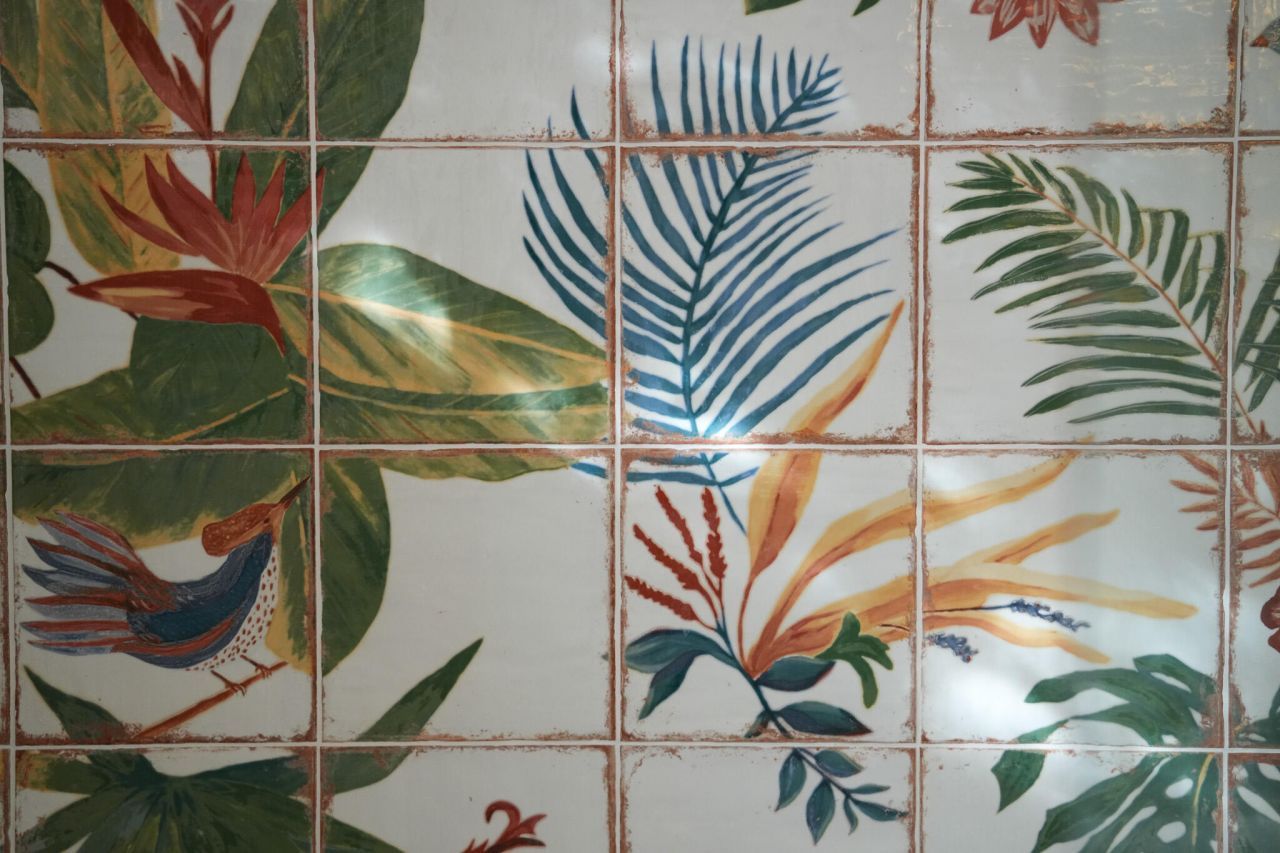 17 Anson Street Photo 35