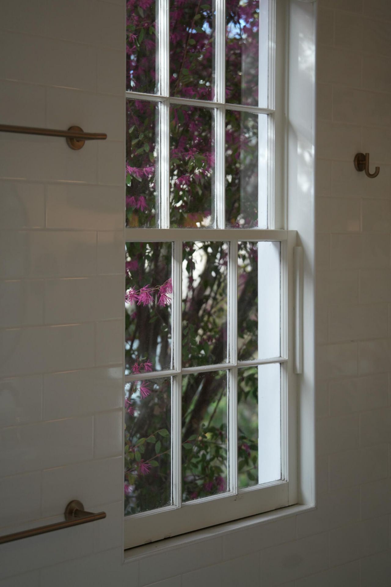 17 Anson Street Photo 39