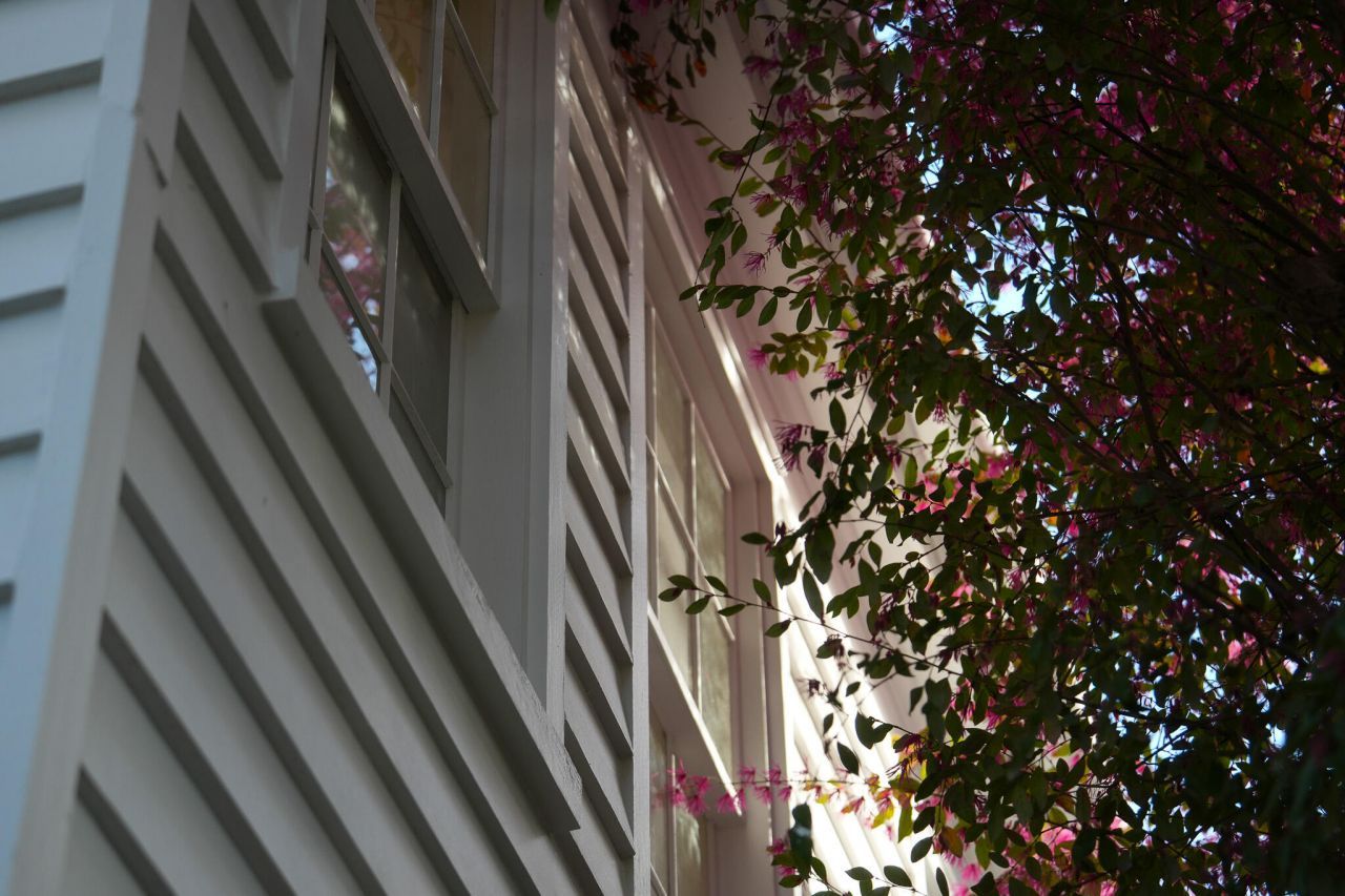 17 Anson Street Photo 61