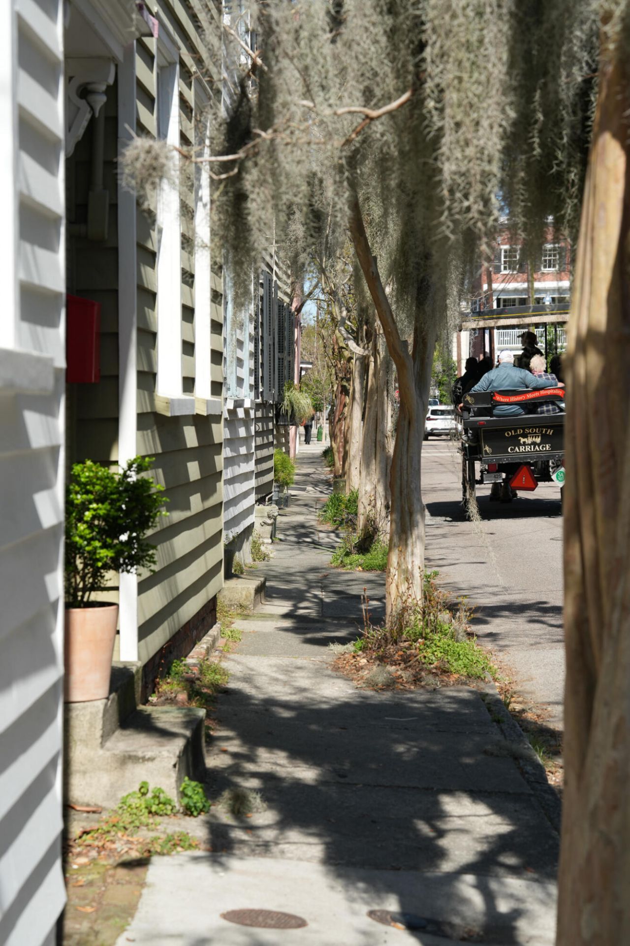 17 Anson Street Photo 62