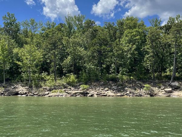 Tract 14 Weldon Rd., Edgemont, AR 72067