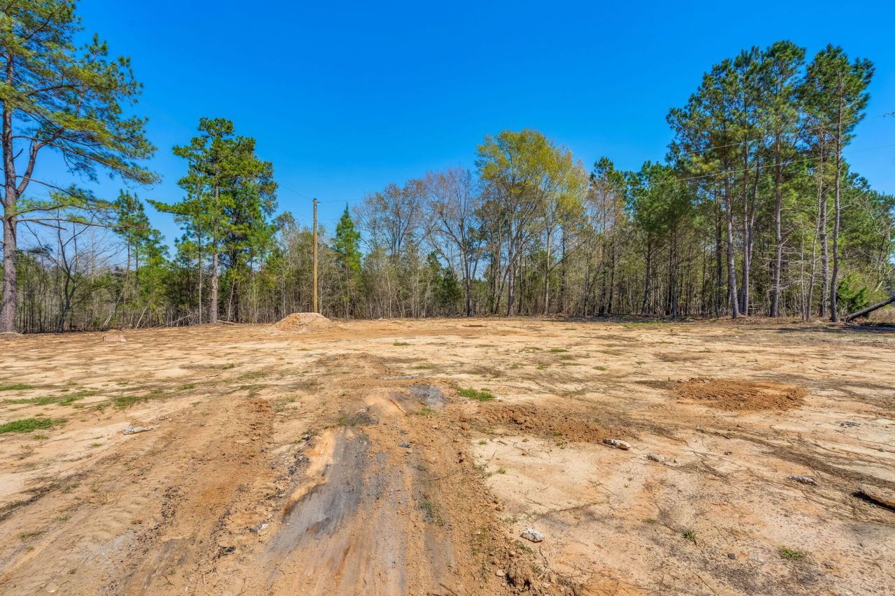 22 Rosa Drive Photo 26