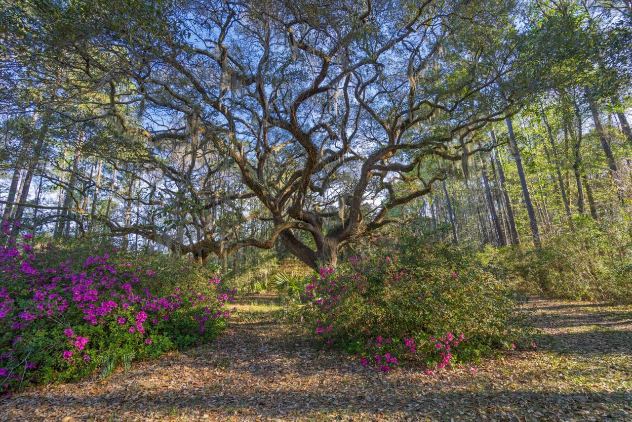 7717 White Point Road Photo 16