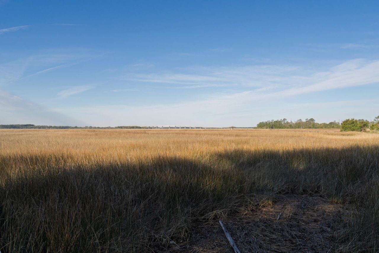 7717 White Point Road Photo 32