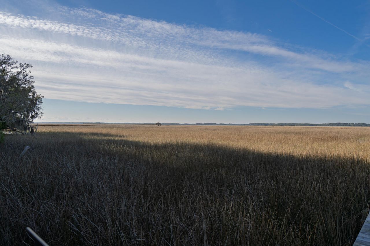 7717 White Point Road Photo 33