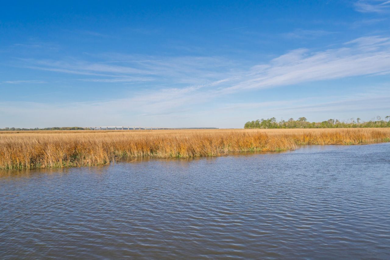 7717 White Point Road Photo 38