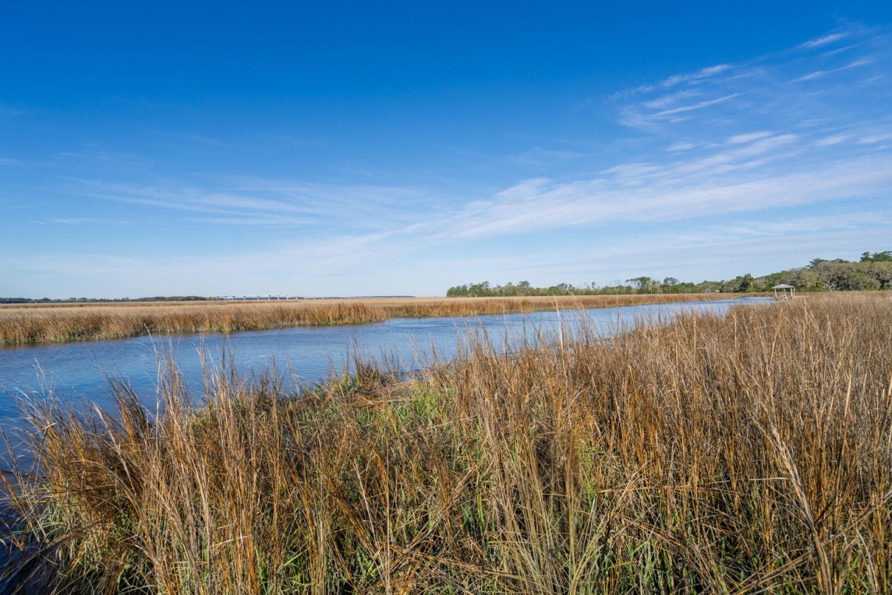 7717 White Point Road Photo 39