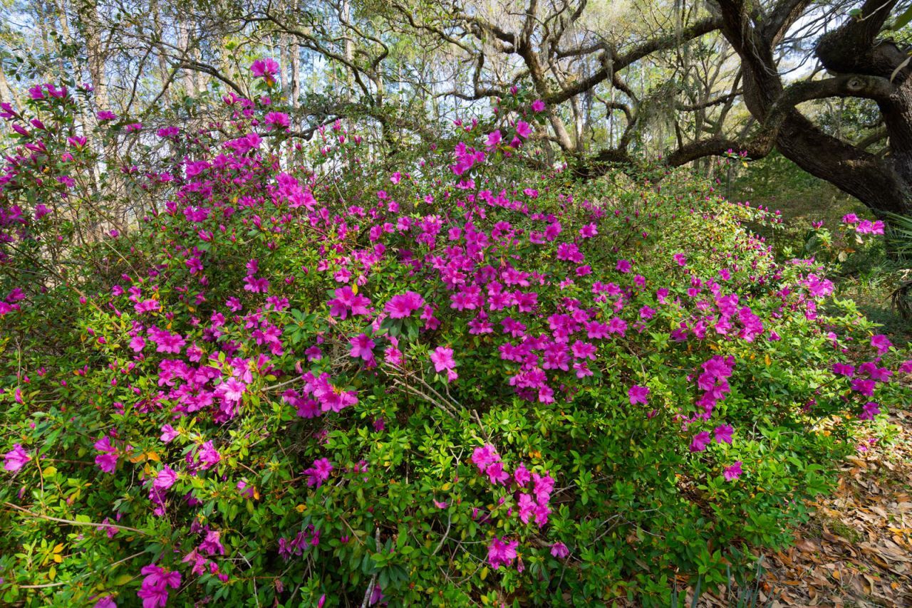 7717 White Point Road Photo 67