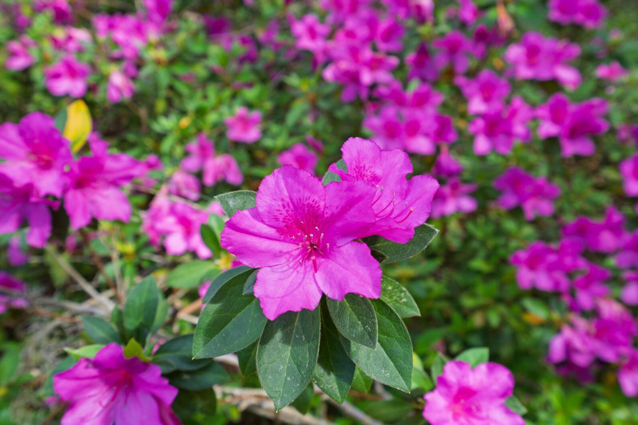 7717 White Point Road Photo 68