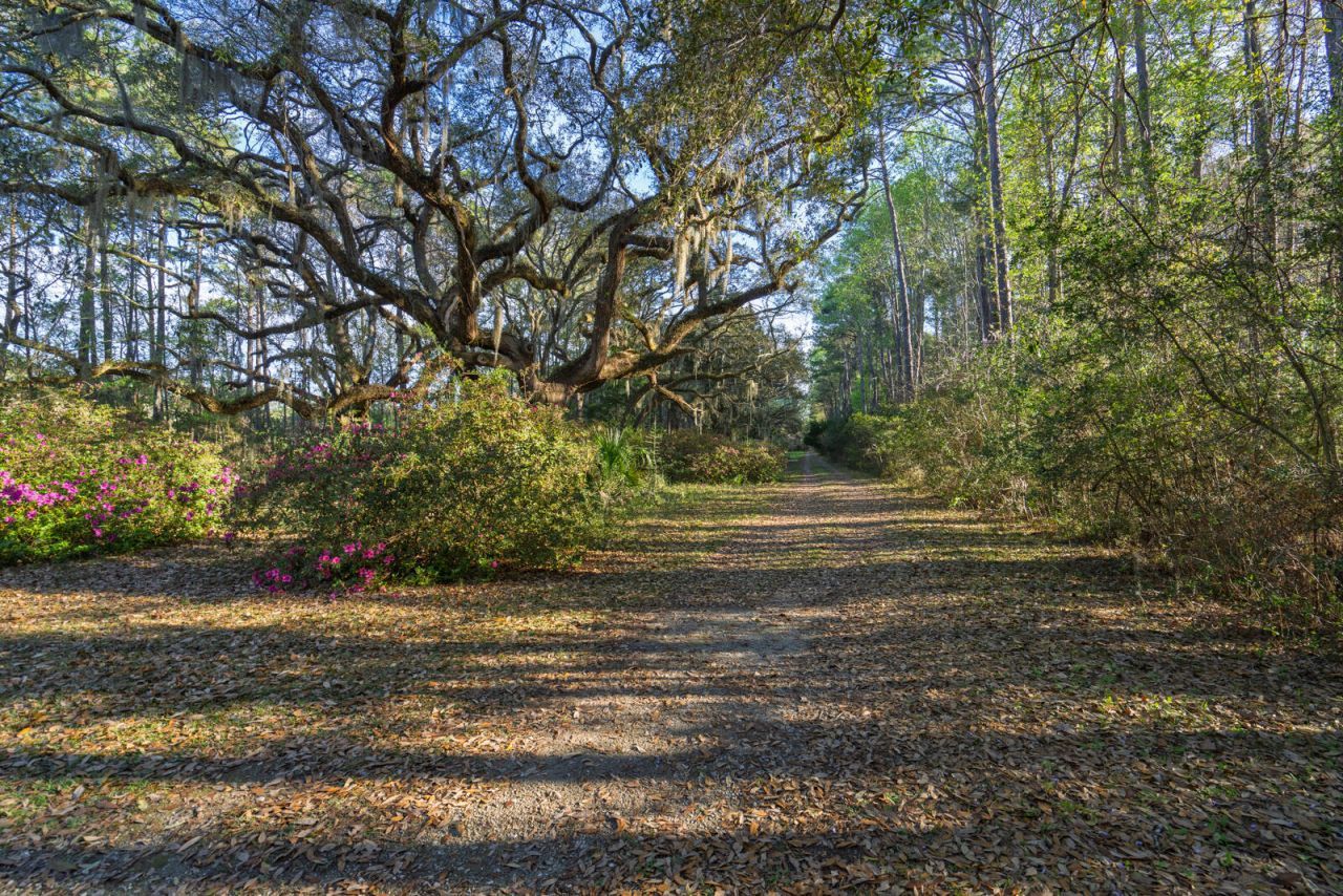 7717 White Point Road Photo 72