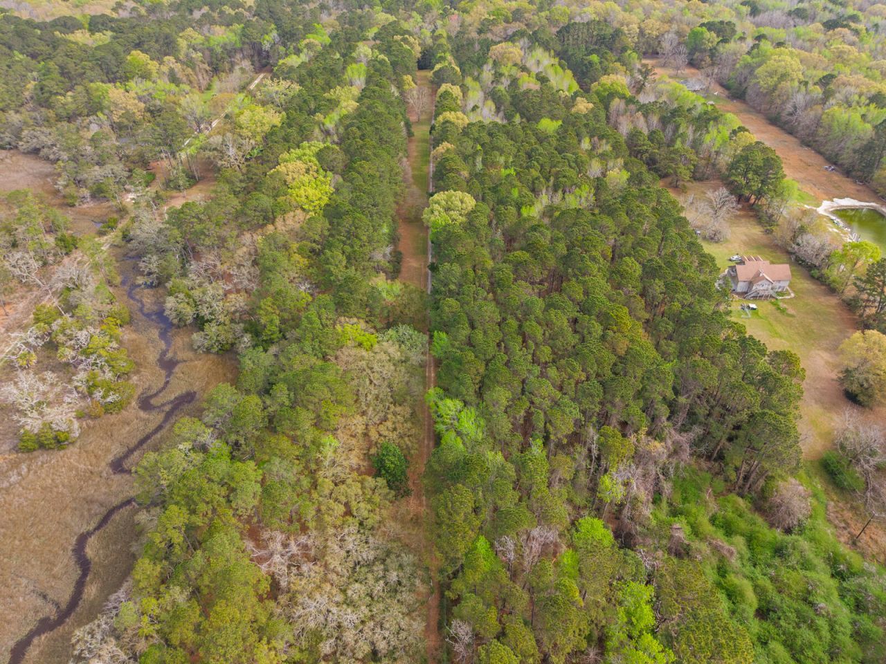 7717 White Point Road Photo 84