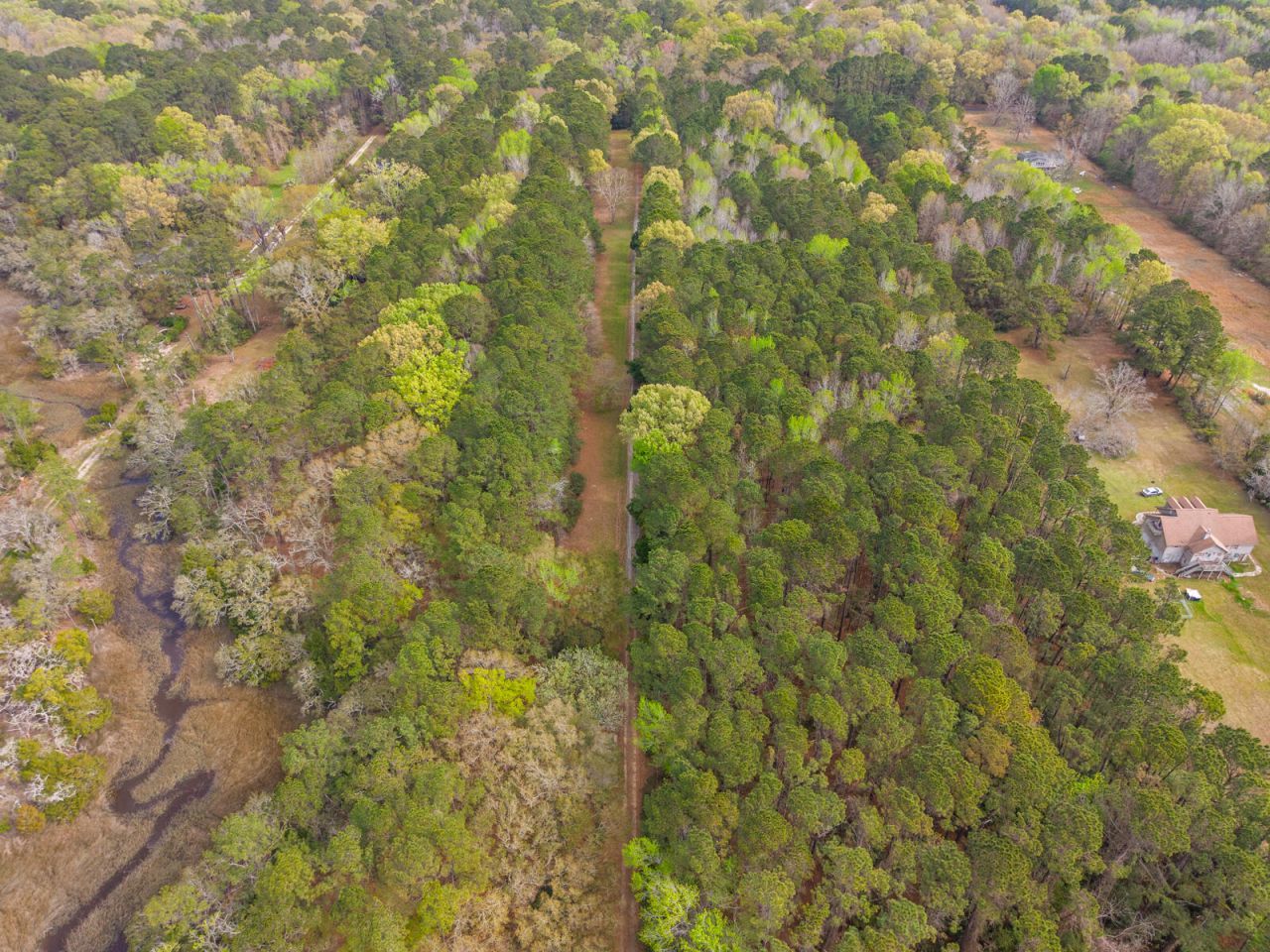 7717 White Point Road Photo 85