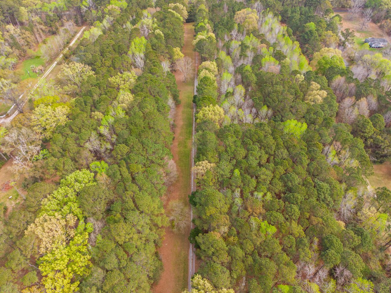 7717 White Point Road Photo 87