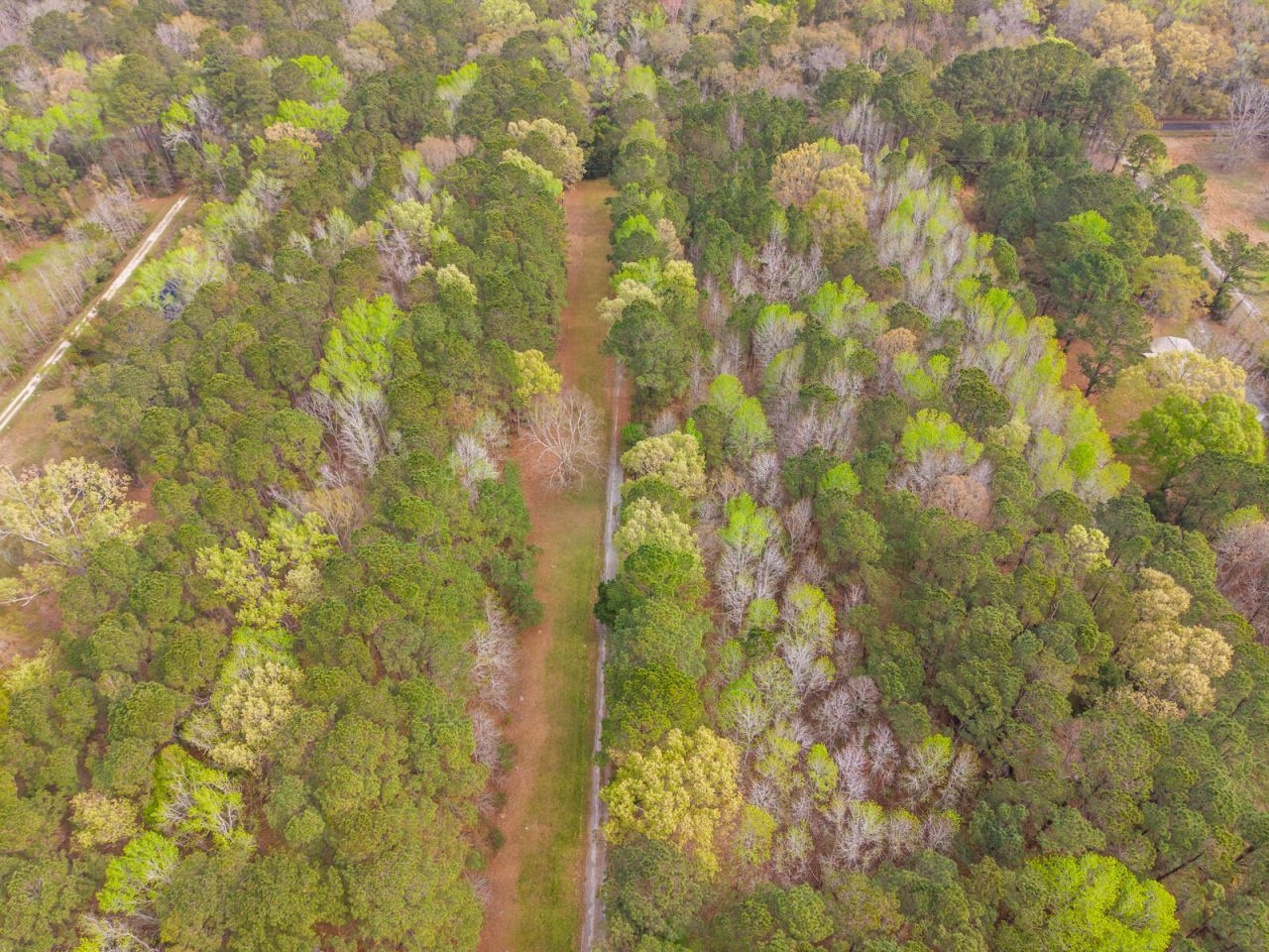 7717 White Point Road Photo 88