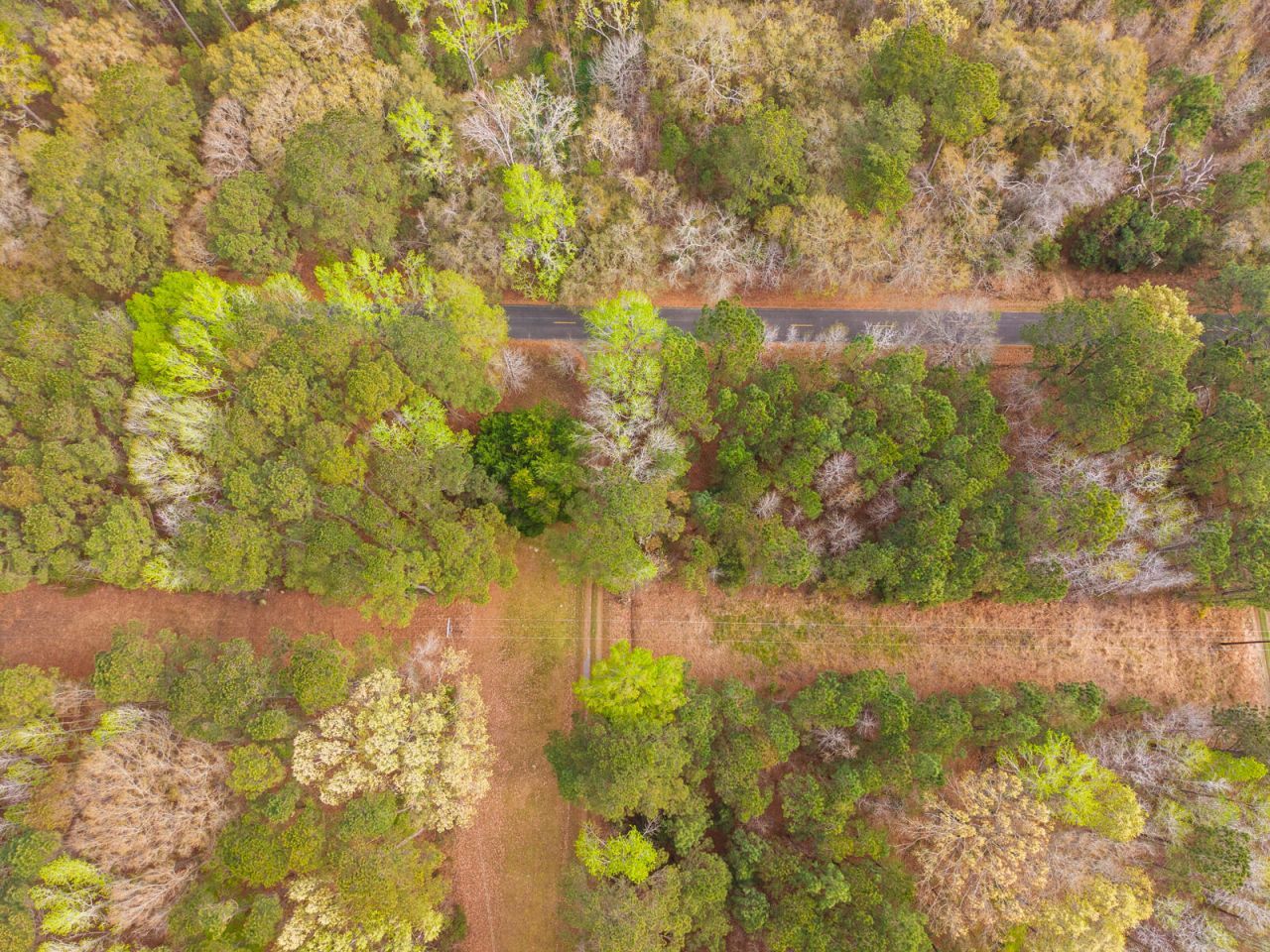 7717 White Point Road Photo 90