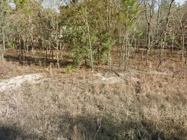 NE 149TH CT , WILLISTON, FL 32696