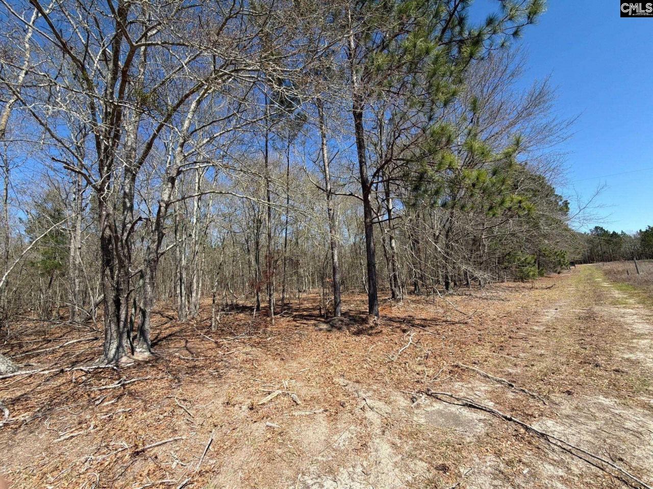 Bhl 9 Boise Cascade Road Photo 13