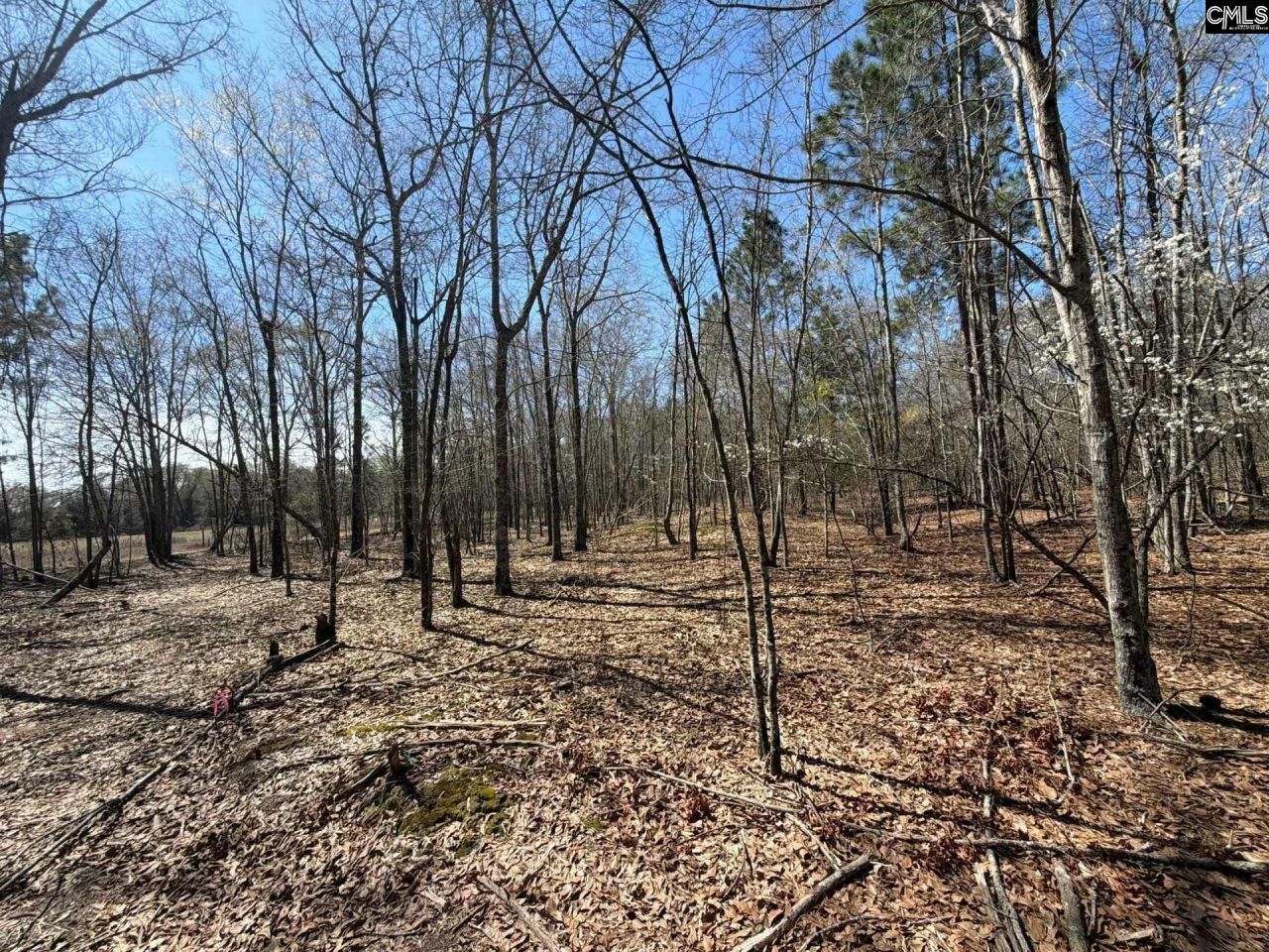 Bhl 9 Boise Cascade Road Photo 14