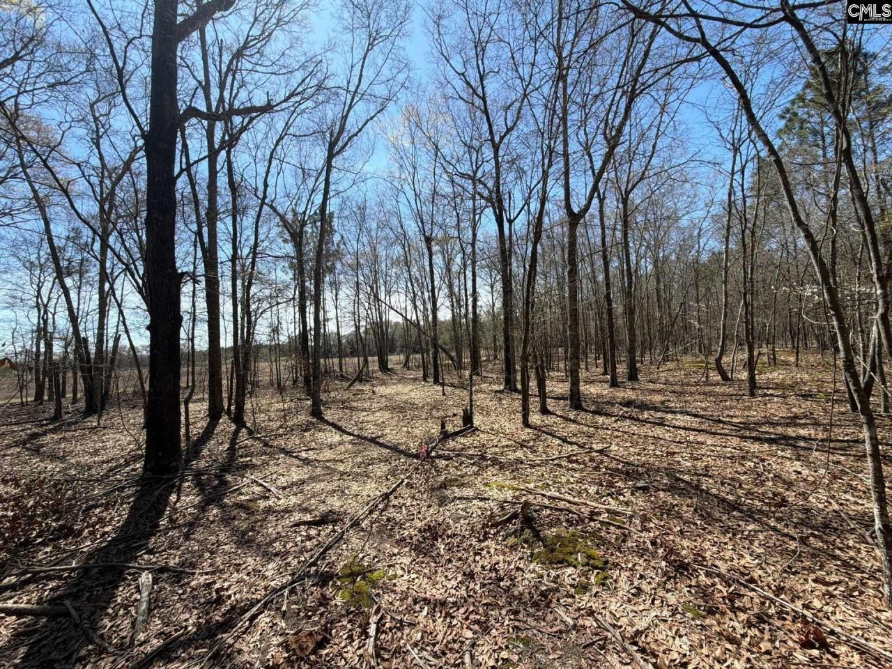 Bhl 9 Boise Cascade Road Photo 15