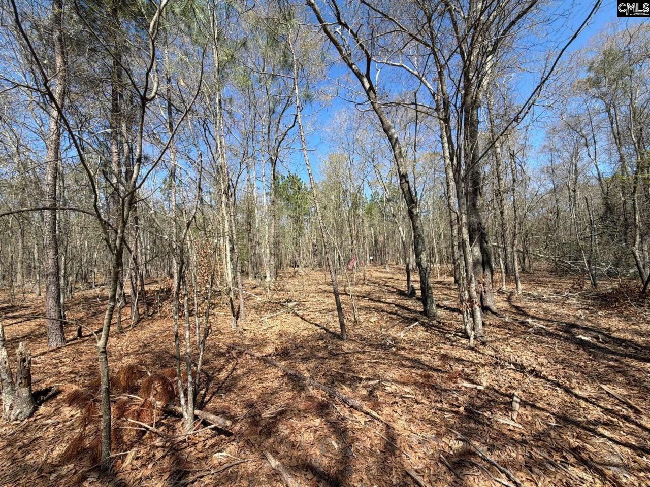 Bhl 9 Boise Cascade Road Photo 16