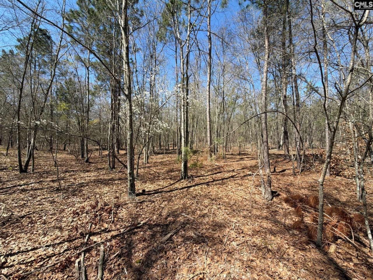 Bhl 9 Boise Cascade Road Photo 17