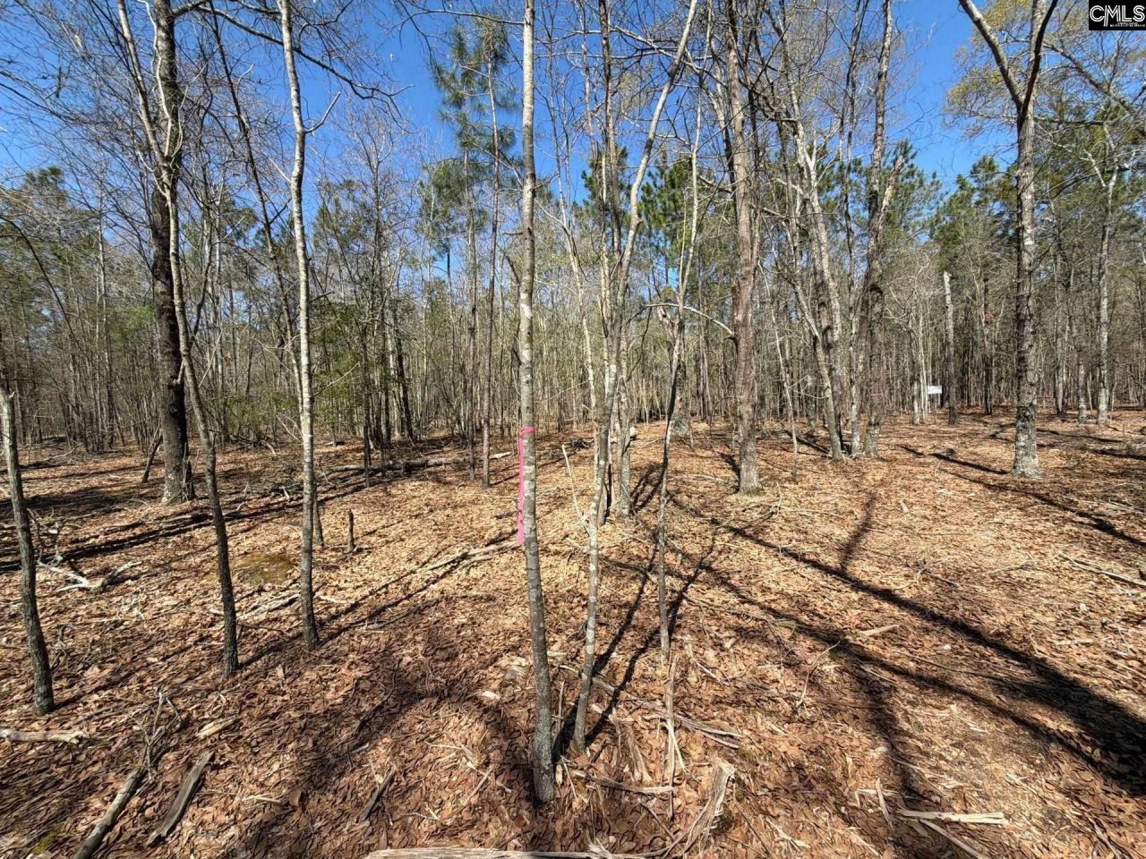 Bhl 9 Boise Cascade Road Photo 18