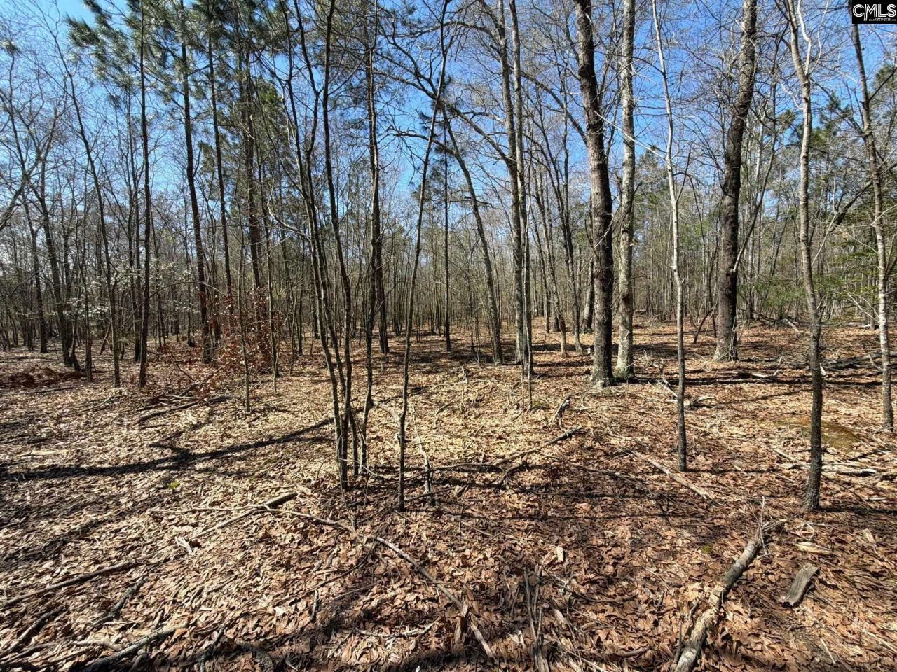 Bhl 9 Boise Cascade Road Photo 19