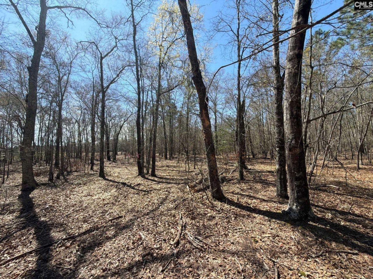 Bhl 9 Boise Cascade Road Photo 21