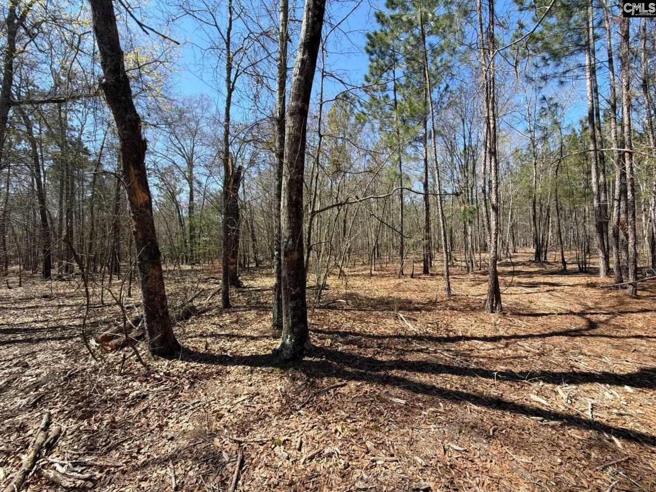 Bhl 9 Boise Cascade Road Photo 23