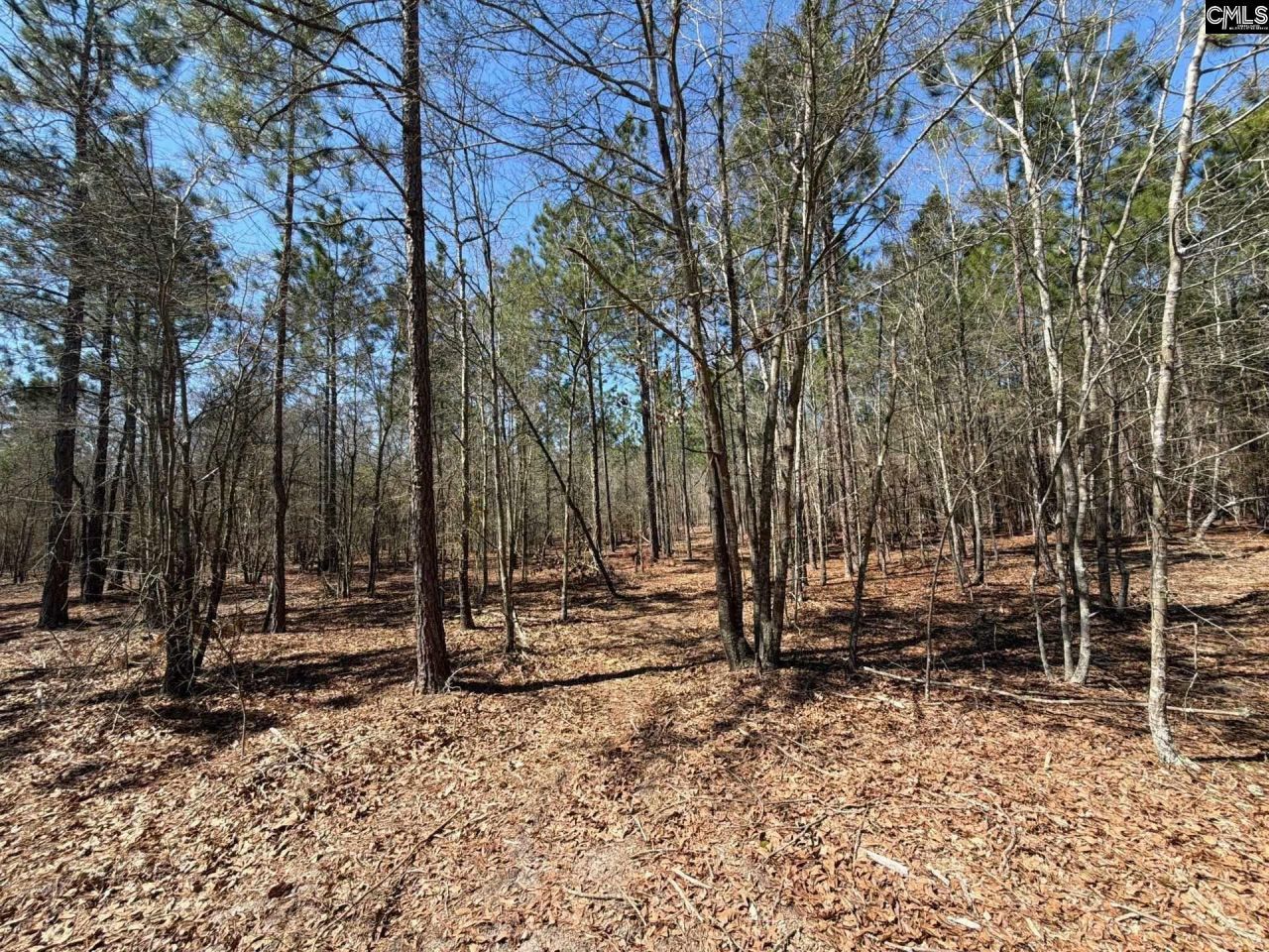 Bhl 9 Boise Cascade Road Photo 24