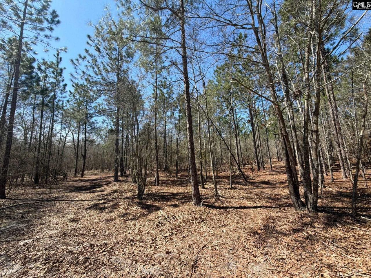 Bhl 9 Boise Cascade Road Photo 25