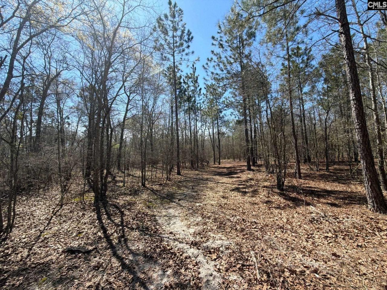 Bhl 9 Boise Cascade Road Photo 26