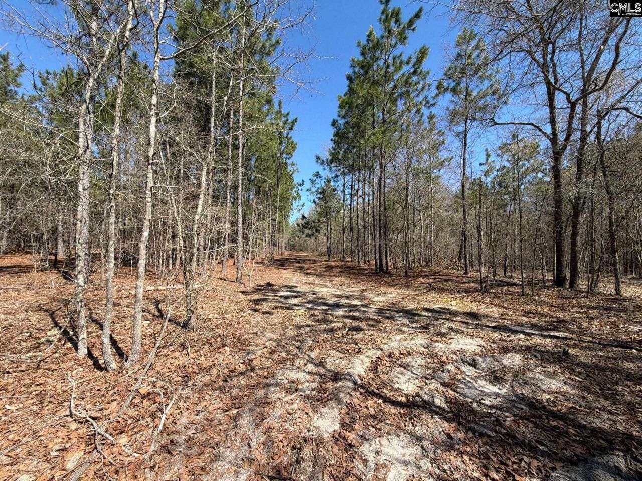 Bhl 9 Boise Cascade Road Photo 27