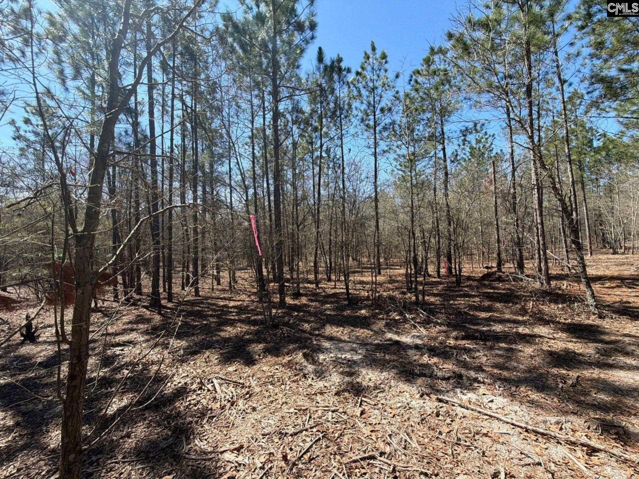 Bhl 9 Boise Cascade Road Photo 28