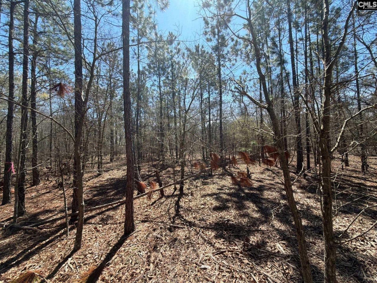 Bhl 9 Boise Cascade Road Photo 29