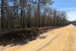 Bhl 9 Boise Cascade Road photo 4