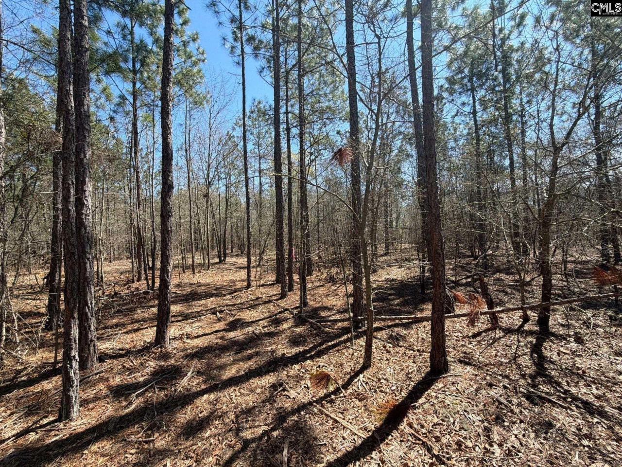 Bhl 9 Boise Cascade Road Photo 30